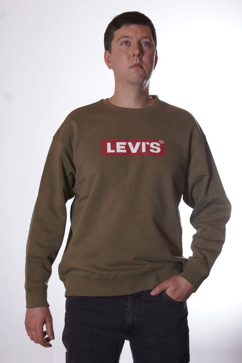 Толстовка Levis A28260006